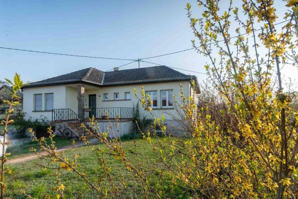 Maison Privilege Nature A La Petite Pierre Exterior photo